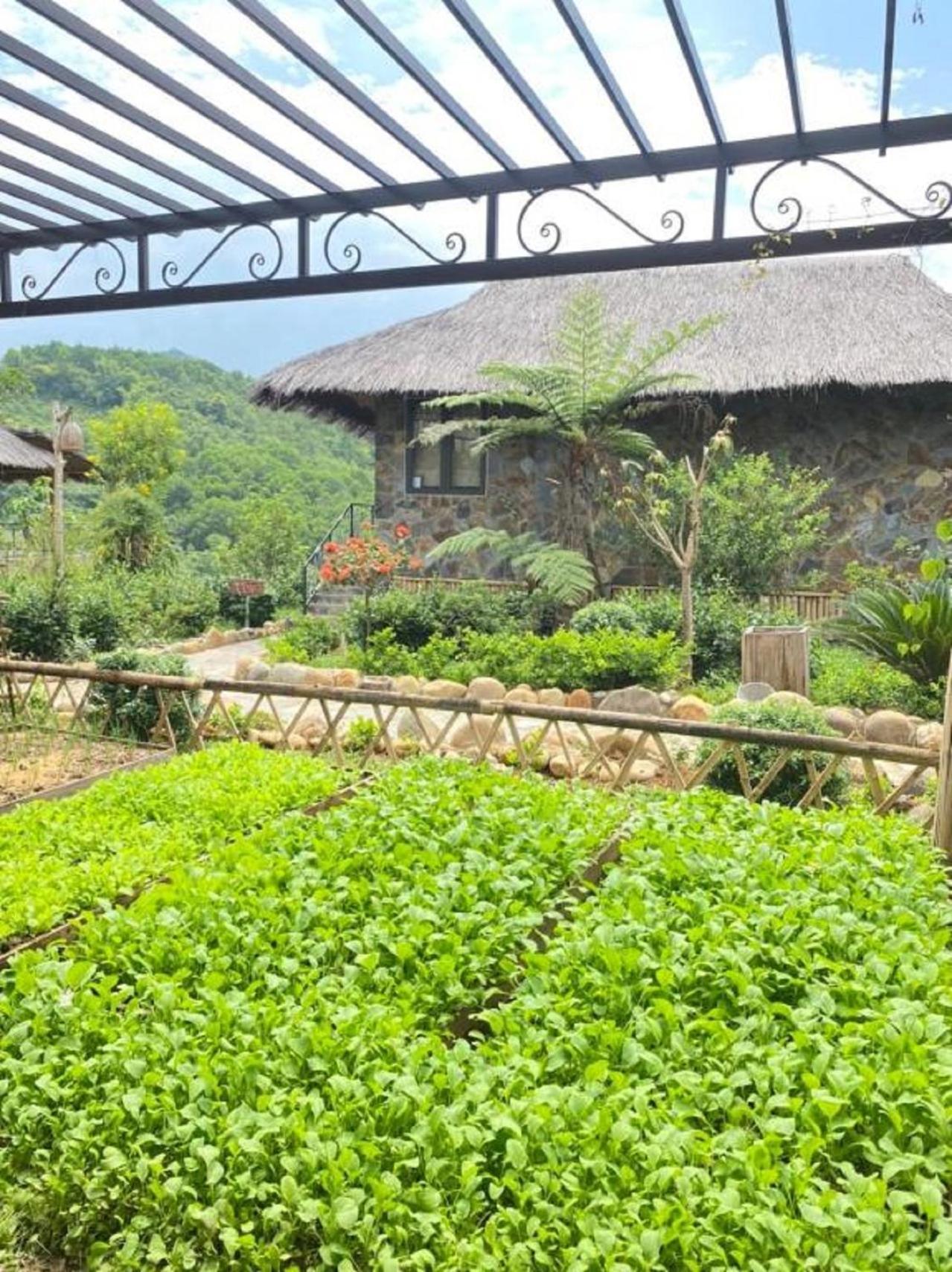Вилла Muong Lo Retreat Nghia Lo Yen Bai Экстерьер фото